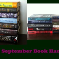 September Book Haul